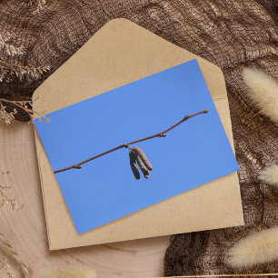 Tarjeta Pequeña peluca en el cielo azul