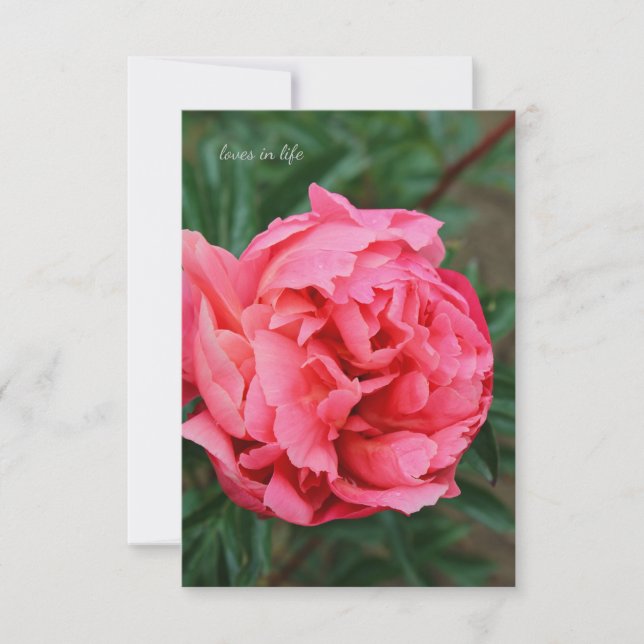 Tarjeta Pequeña Peón rosa completo (Anverso)