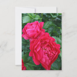Tarjeta Pequeña Peonía rosa Reddish