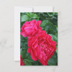 Tarjeta Pequeña Peonía rosa Reddish