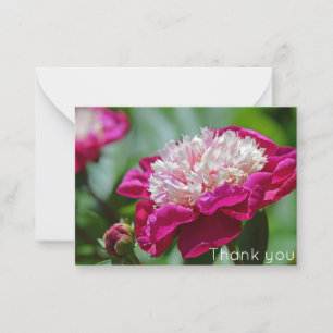 Tarjeta Pequeña Peony Flower Rosa