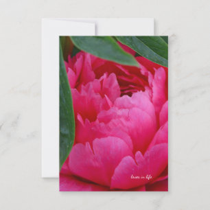 Tarjeta Pequeña Peony rosado de Bashful