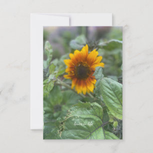 Tarjeta Pequeña Pequeño Sunflower Soñoso