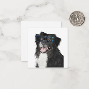 Tarjeta Pequeña Perro blanco y negro con gafas en blanco dentro
