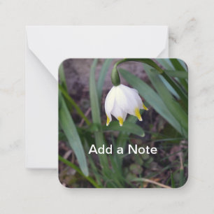 Tarjeta Pequeña Personalizable de vernum de Leucojum Snowflake de 