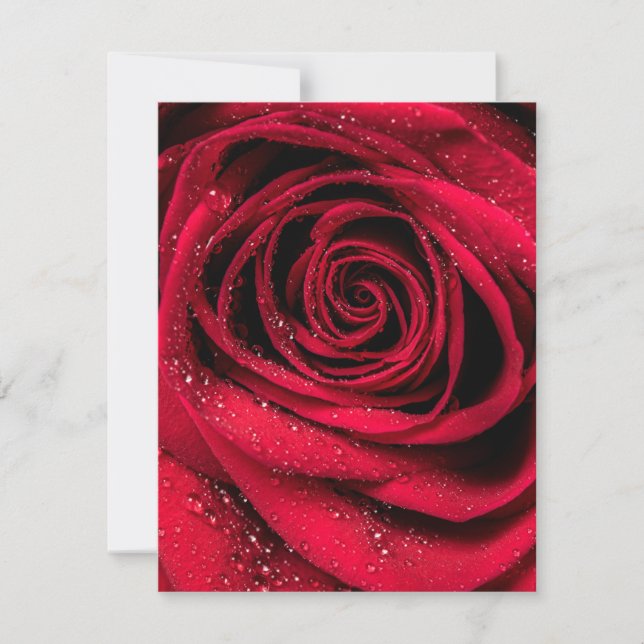 Tarjeta Pequeña Petales Rosas 1 (Anverso)