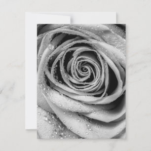 Tarjeta Pequeña Petales Rosas 5