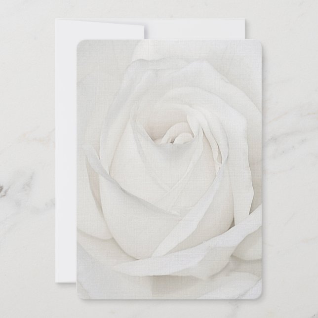 Tarjeta Pequeña Pétalos de rosa blancos (Anverso)