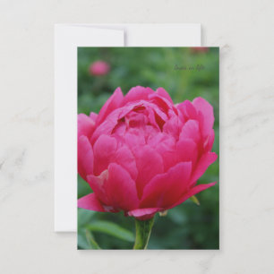Tarjeta Pequeña Pink Garden Peony