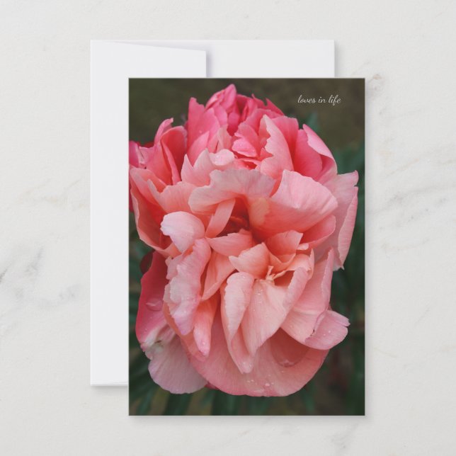 Tarjeta Pequeña Pink Peony (Anverso)