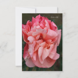 Tarjeta Pequeña Pink Peony