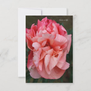 Tarjeta Pequeña Pink Peony