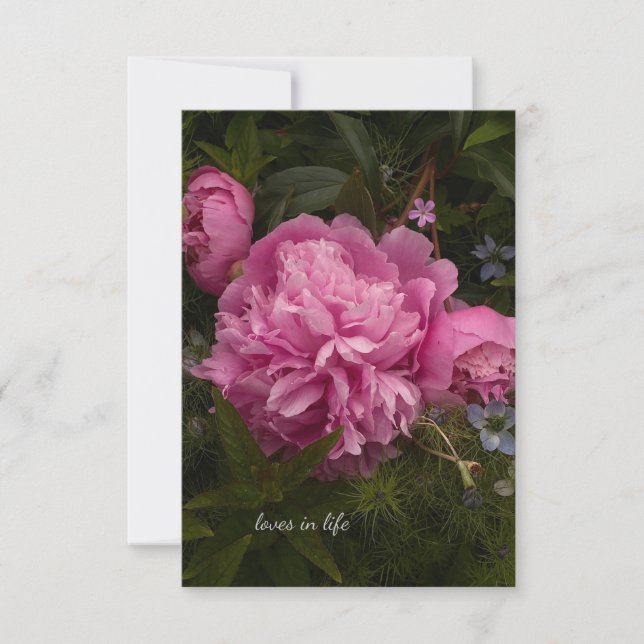 Tarjeta Pequeña Pink Peony y Love-in-a-mist (Anverso)