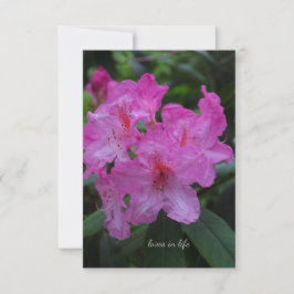 Tarjeta Pequeña Pinkish Purple Rododendron