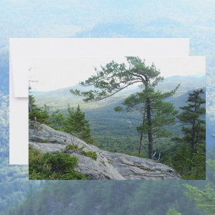 Tarjeta Pequeña Pino Montañoso – Foto de la Resiliencia de la Natu
