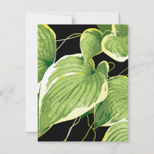 Tarjeta Pequeña Planta Ficus 3