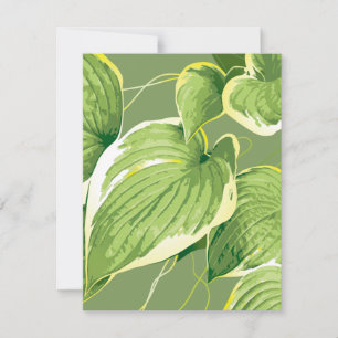Tarjeta Pequeña Planta Ficus 5