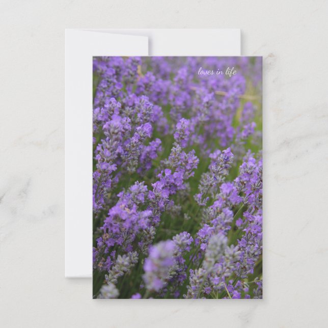 Tarjeta Pequeña Plantas de lavanda ligera (Anverso)