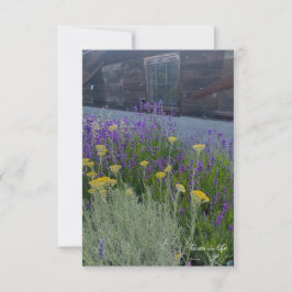 Tarjeta Pequeña Plantas Lavender y Santolina