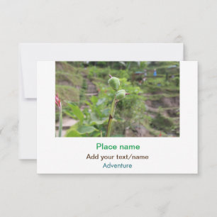 Tarjeta Pequeña Plantas naturales fotografía nombre de viaje en ag