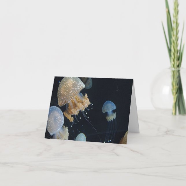 Tarjeta pequeña plegada (Anverso)