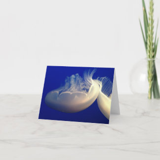 Tarjeta pequeña plegada