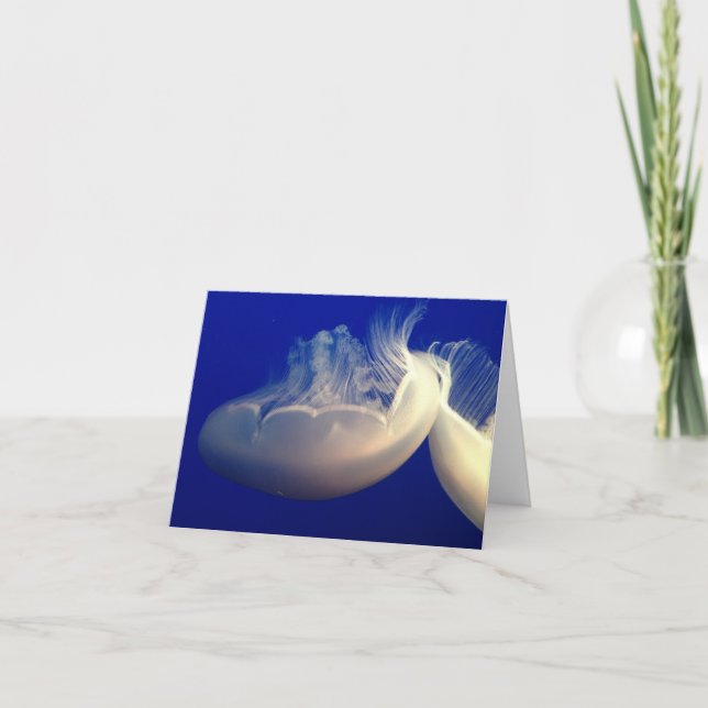 Tarjeta pequeña plegada (Anverso)