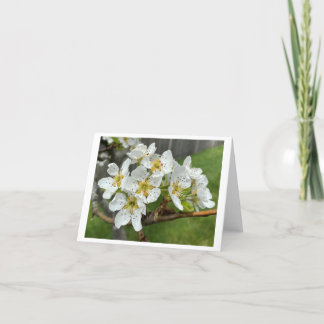 Tarjeta pequeña plegada