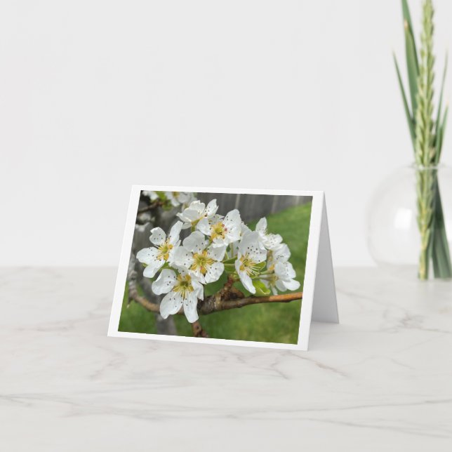 Tarjeta pequeña plegada (Anverso)