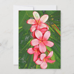 Tarjeta Pequeña Plumerias