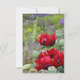 Tarjeta Pequeña Poppies rojos en el jardín