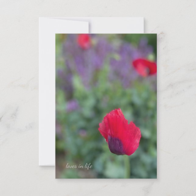 Tarjeta Pequeña Poppies rosados, Jardín Púrpura (Anverso)