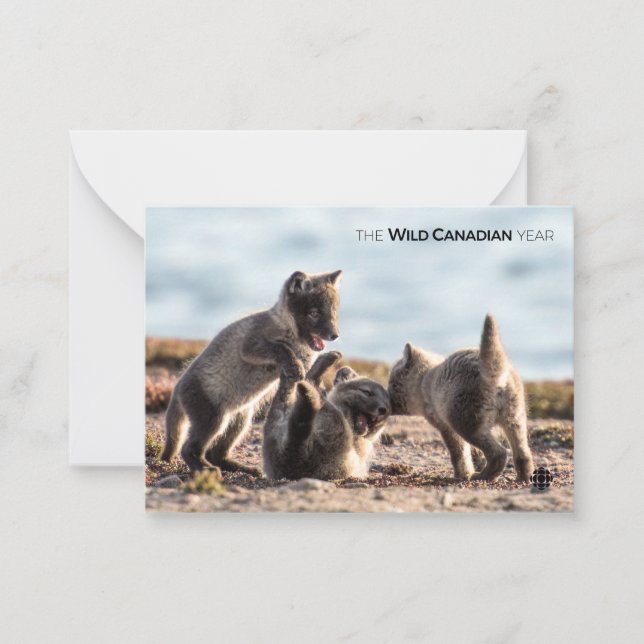 Tarjeta Pequeña Primavera - Fox ártica (Anverso)