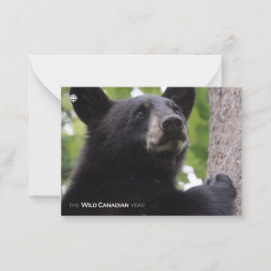 Tarjeta Pequeña Primavera - Oso negro