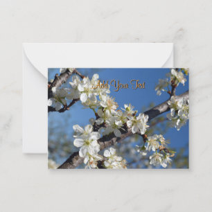 Tarjeta Pequeña Rama de árbol de ciruelo florecido blanco en prima