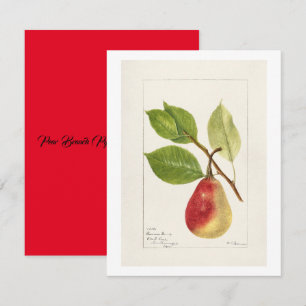 Tarjeta Pequeña Rama de peras (Pyrus Communis) (1893) Pequeña