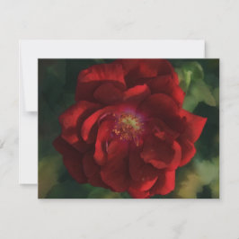 Tarjeta Pequeña Red Rose Art Flower Floral Note Card Set