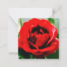 Tarjeta Pequeña Red Rose Love