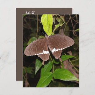 TARJETA PEQUEÑA REGALO DE LA MARIPOSA DE AMOR PARA CUALQUIERA