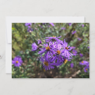 Tarjeta Pequeña Resplandor púrpura de otoño