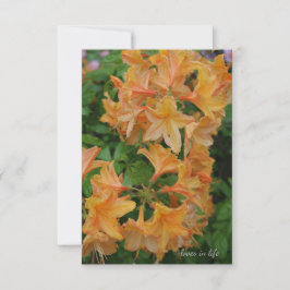 Tarjeta Pequeña Rhododendrón amarillo