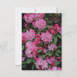 Tarjeta Pequeña Rhododendron rosa
