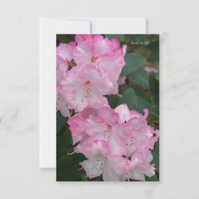 Tarjeta Pequeña Rododendros rosa claro (Anverso)