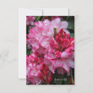 Tarjeta Pequeña Rododendros rosados grandes