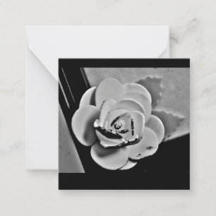 Tarjeta Pequeña Rosa blanca