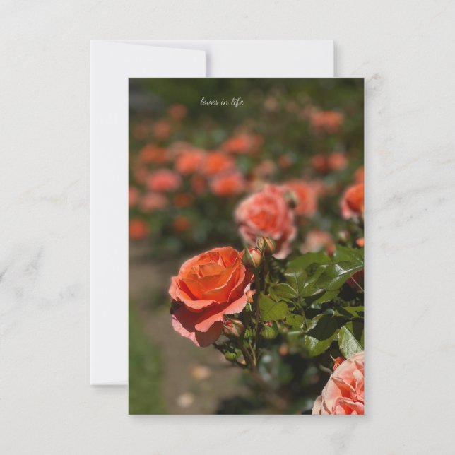 Tarjeta Pequeña Rosa color salmón (Anverso)