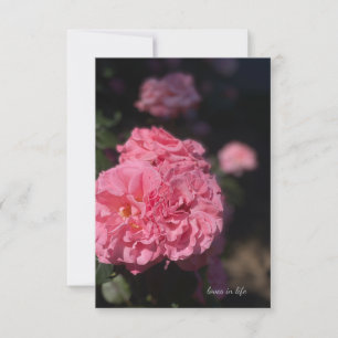 Tarjeta Pequeña Rosa rosa completo