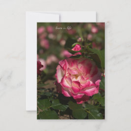 Tarjeta Pequeña Rosa rosa y rosa blanco