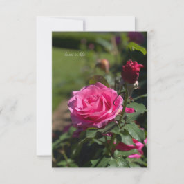 Tarjeta Pequeña Rosa y Bud rosa