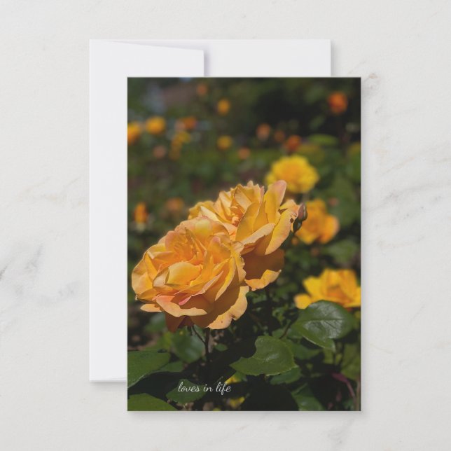 Tarjeta Pequeña Rosas Amarillas (Anverso)